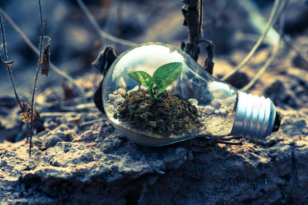 Hoe worden ESG-gerelateerde activa gebruikt voor greenwashing? - Pideeco Journal